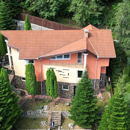 Marble Villa: Luxury Estate - Central But Intimate Sinaia Eksteriør billede