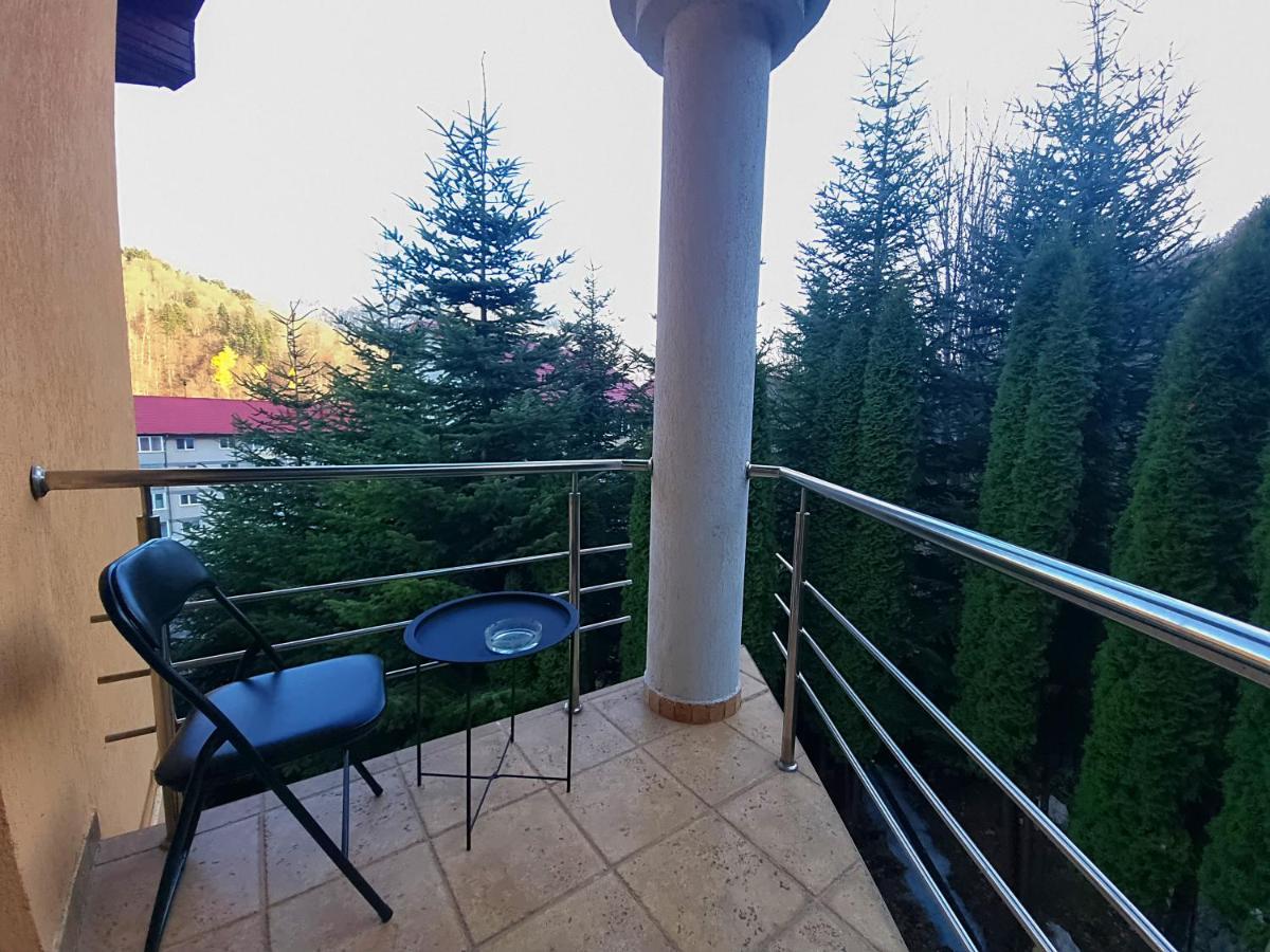 Marble Villa: Luxury Estate - Central But Intimate Sinaia Eksteriør billede