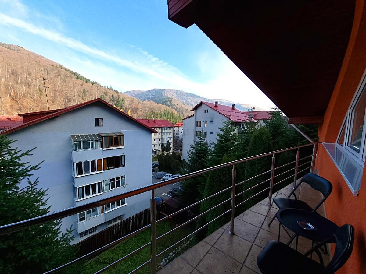 Marble Villa: Luxury Estate - Central But Intimate Sinaia Eksteriør billede