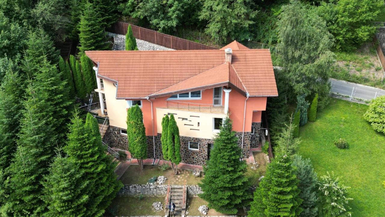 Marble Villa: Luxury Estate - Central But Intimate Sinaia Eksteriør billede
